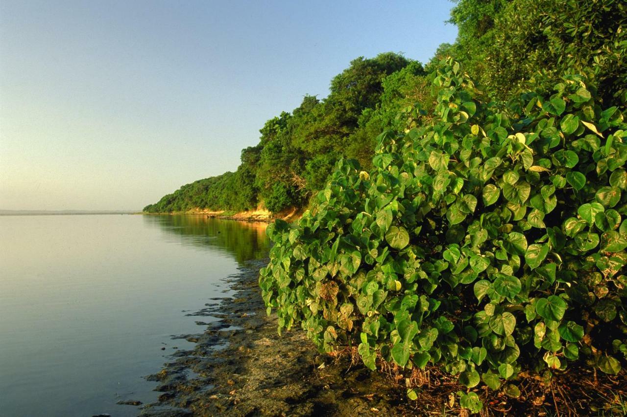 Appartamento 4 The Bridge Saint Lucia Estuary Esterno foto